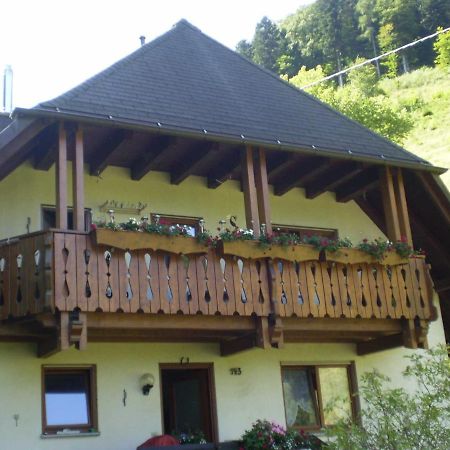 Appartamento Haus Am Bach Friburgo in Brisgovia Esterno foto