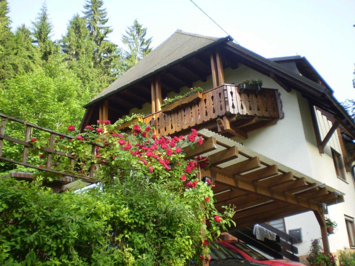Appartamento Haus Am Bach Friburgo in Brisgovia Esterno foto